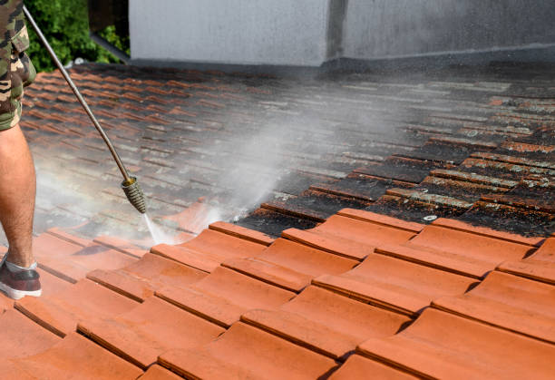 Best Roof Power Washing Services  in Scanlon, MN