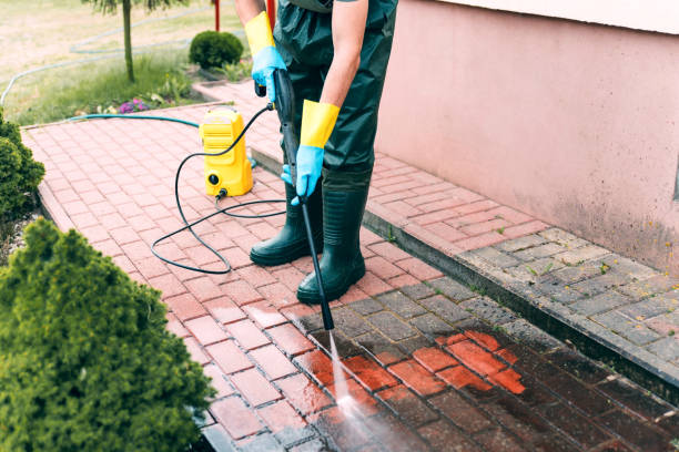 Best Commercial Building Pressure Washing  in Scanlon, MN