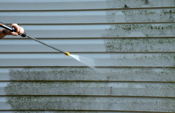 Best Sidewalk Pressure Washing  in Scanlon, MN