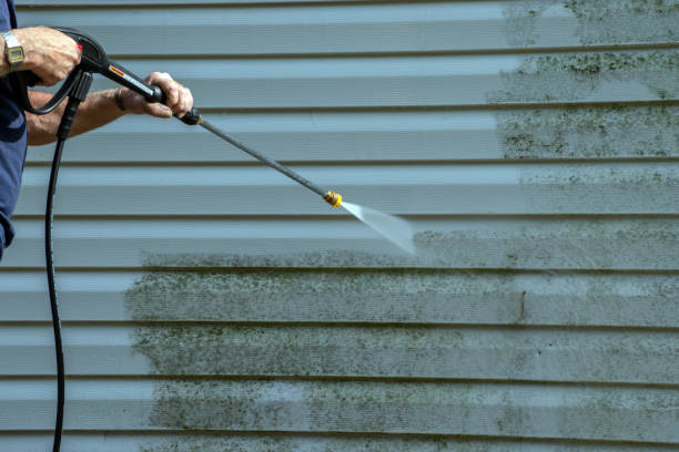 Best Pressure Washing Siding  in Scanlon, MN